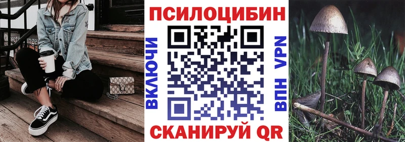 Галлюциногенные грибы MAGIC MUSHROOMS купить наркотики сайты Великий Новгород