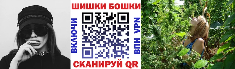 Бошки Шишки план  Великий Новгород 